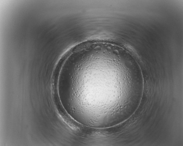 X0000080130680200612151739