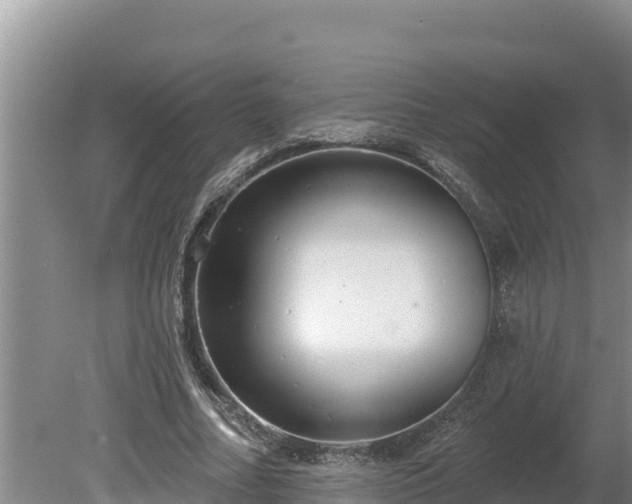 X0000080130682200612151739