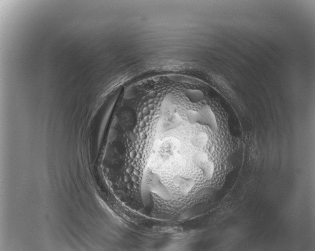 X0000080130683200612151739