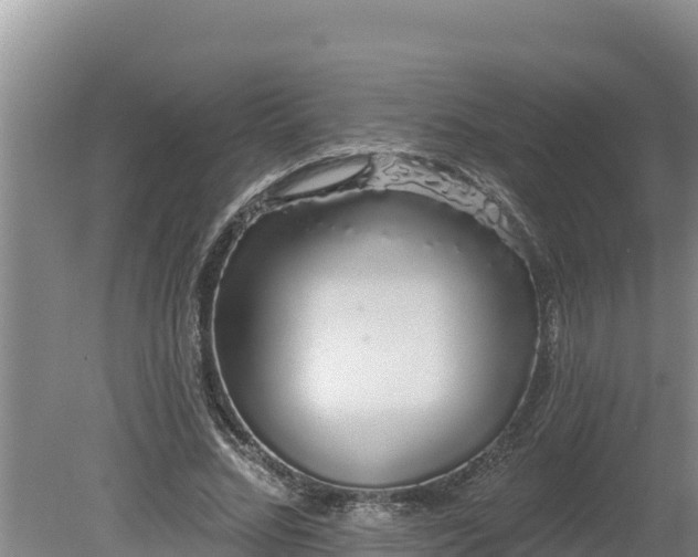 X0000080130684200612151739