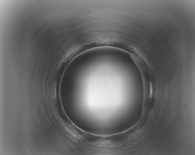 X0000080130685200612151739