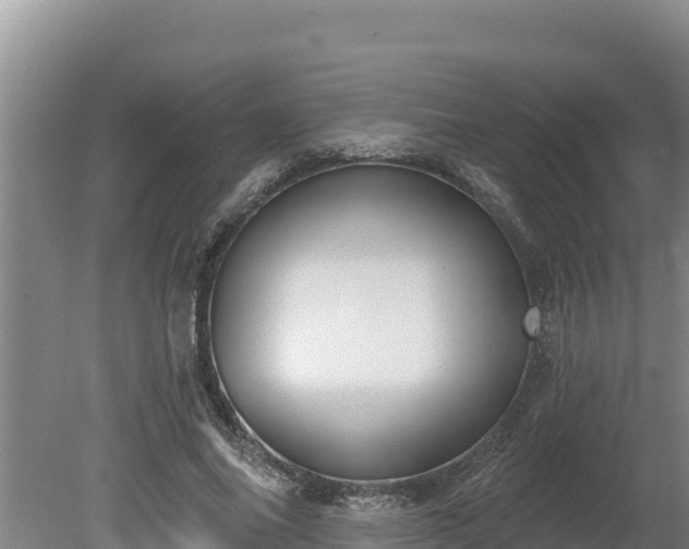 X0000080130686200612151739