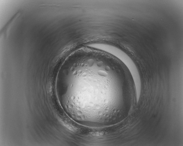 X0000080130687200612151739