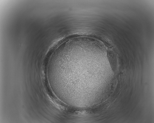 X0000080130688200612151739