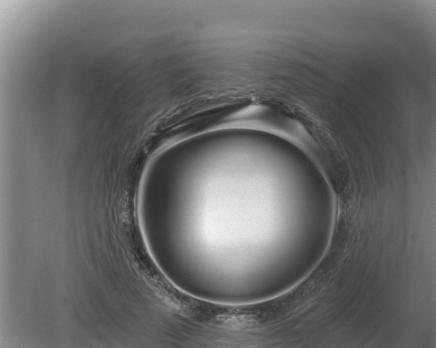 X0000080130689200612151739