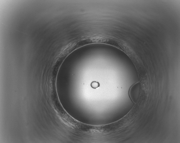 X0000080130690200612151739