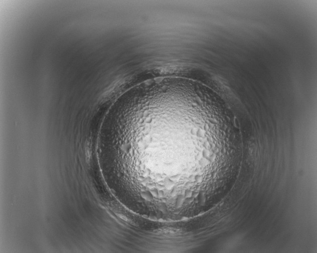 X0000080130691200612151739