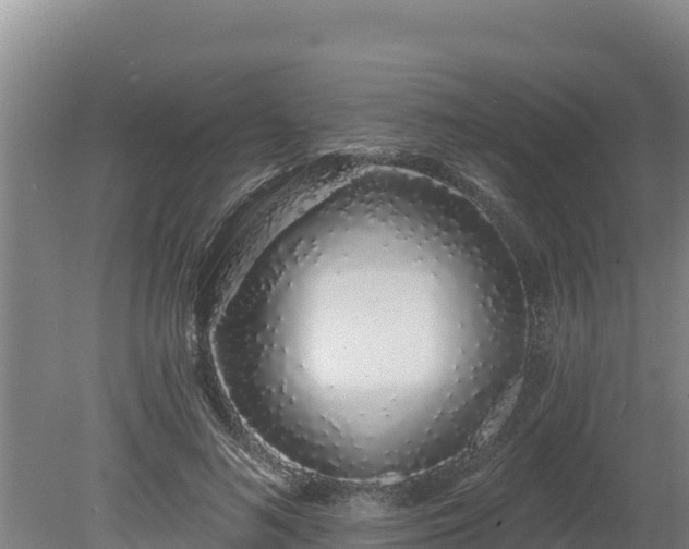 X0000080130692200612151739