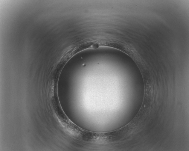 X0000080130694200612151739