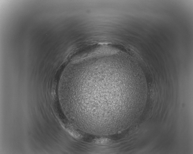 X0000080130695200612151739