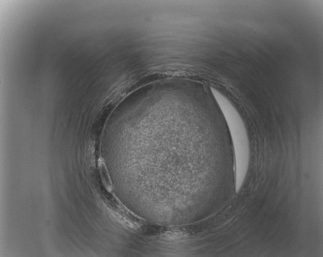 X0000080130696200612151739