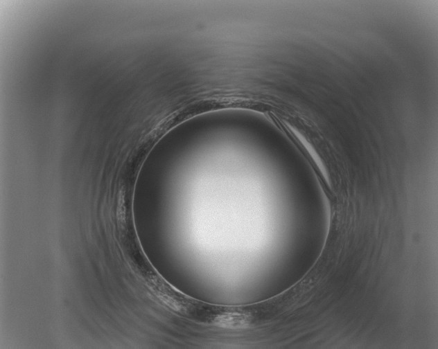 X0000080130700200612151739