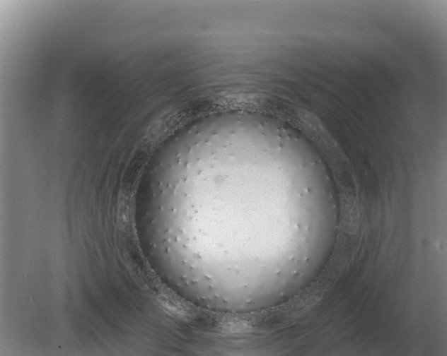 X0000080130701200612151739