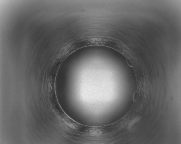 X0000080130702200612151739