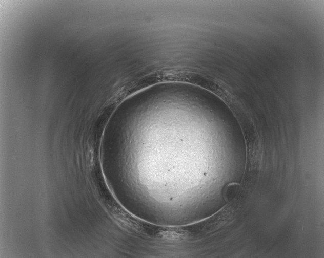 X0000080130703200612151739