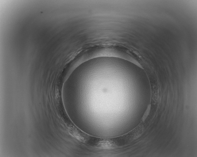 X0000080130704200612151739