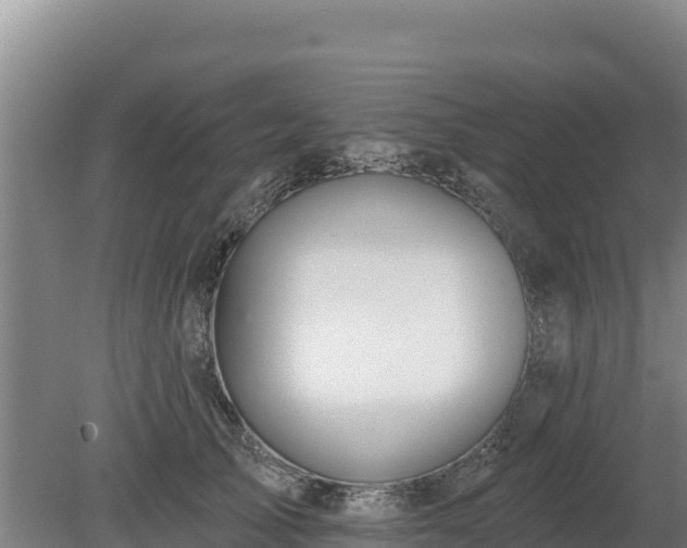 X0000080130705200612151739