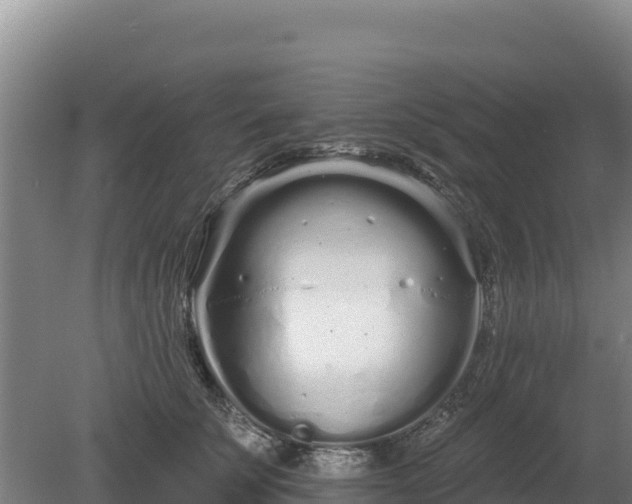 X0000080130707200612151738