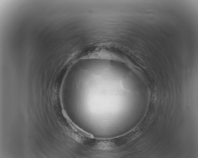 X0000080130708200612151738