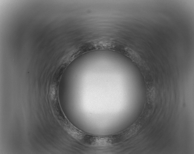 X0000080130709200612151738