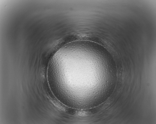 X0000080130710200612151738