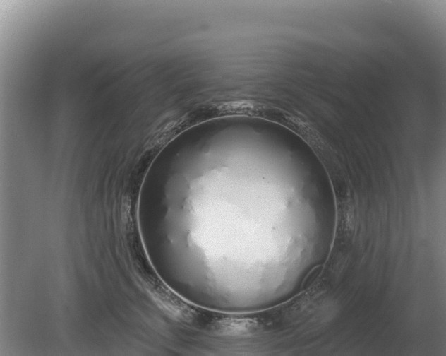 X0000080130711200612151738