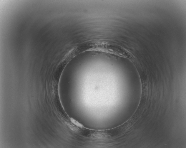 X0000080130712200612151738