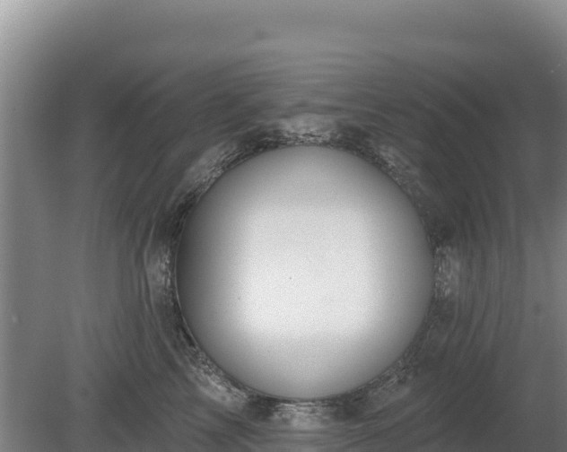 X0000080130713200612151738