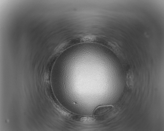 X0000080130714200612151738