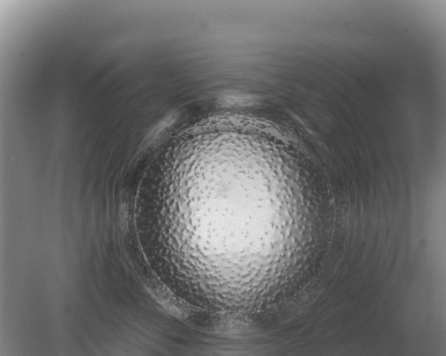 X0000080130716200612151738