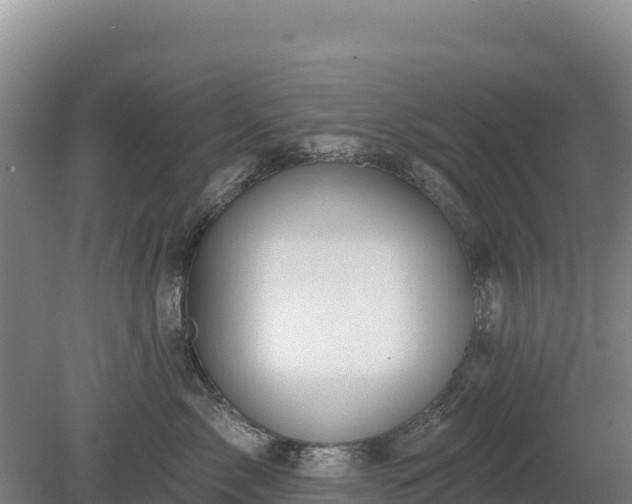 X0000080130717200612151738