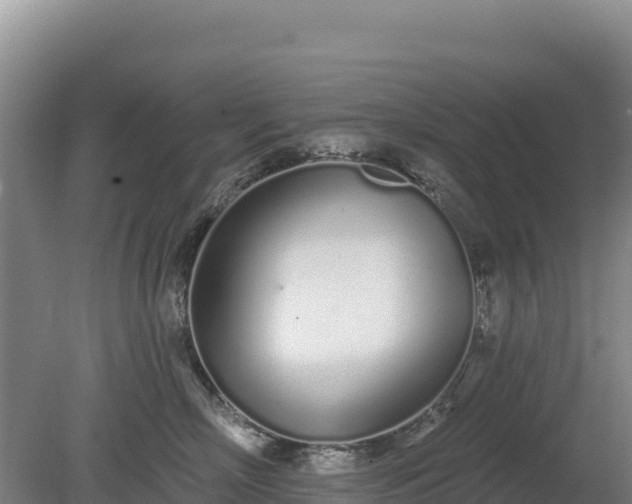 X0000080130718200612151738