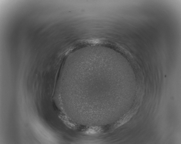 X0000080130720200612151738