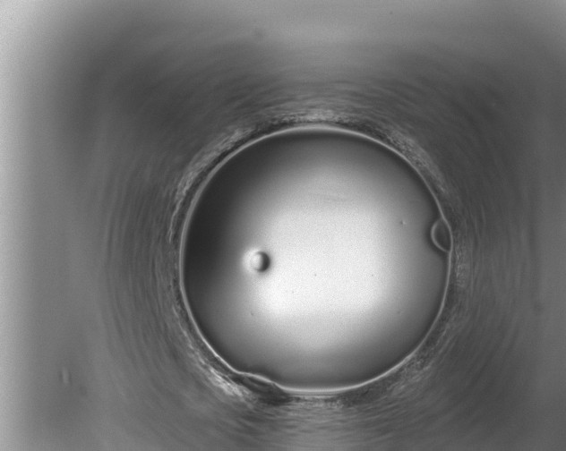 X0000080130721200612151737