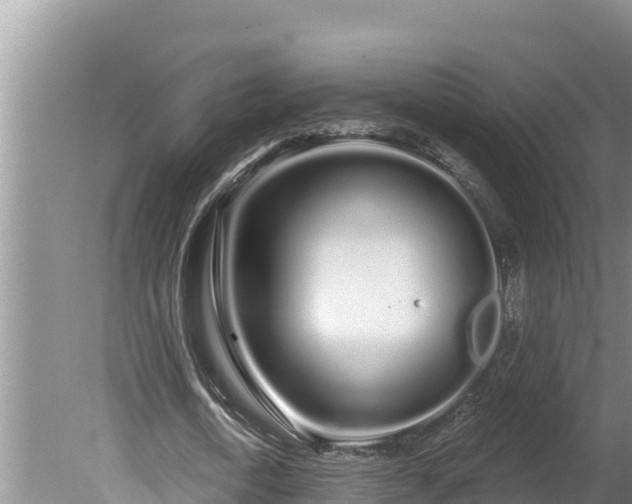 X0000080130722200612151737