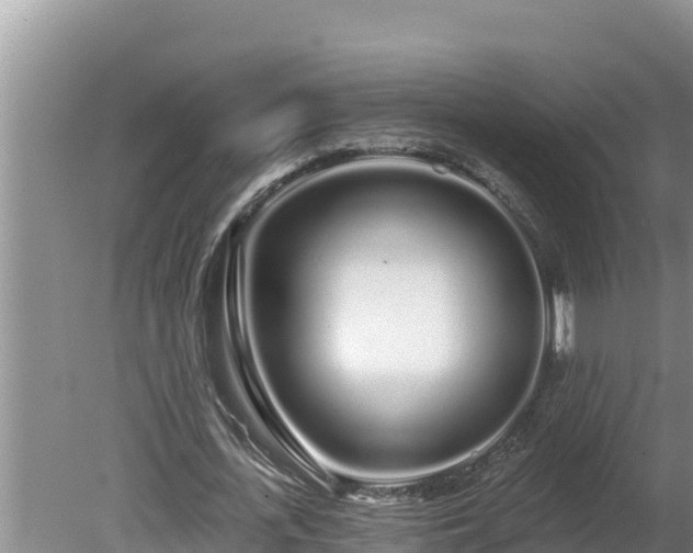 X0000080130723200612151738