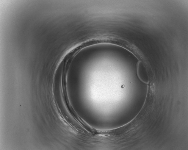 X0000080130724200612151738