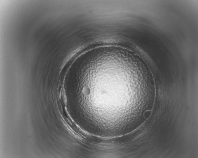 X0000080130725200612151738