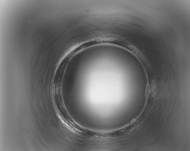 X0000080130726200612151738