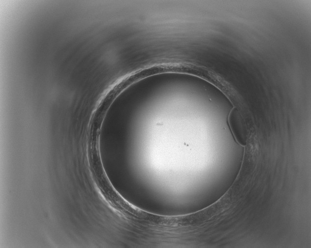 X0000080130728200612151738