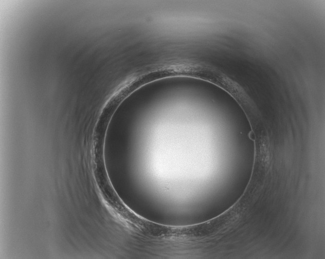 X0000080130730200612151738