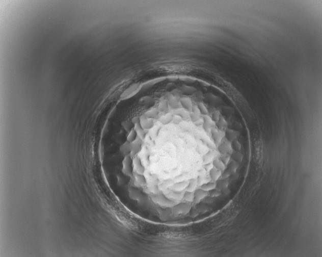 X0000080130733200612151738