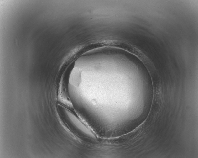 X0000080130734200612151738