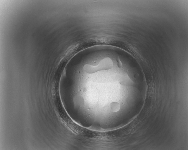 X0000080130738200612151738