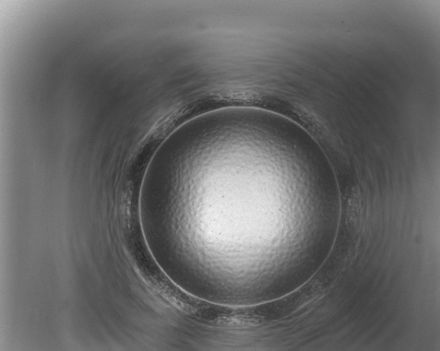 X0000080130739200612151738