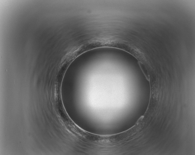 X0000080130740200612151738