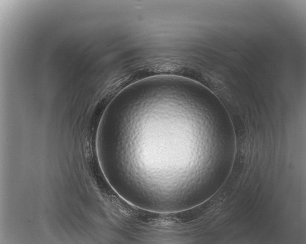 X0000080130743200612151738