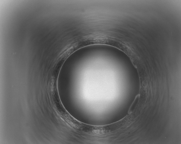 X0000080130744200612151738