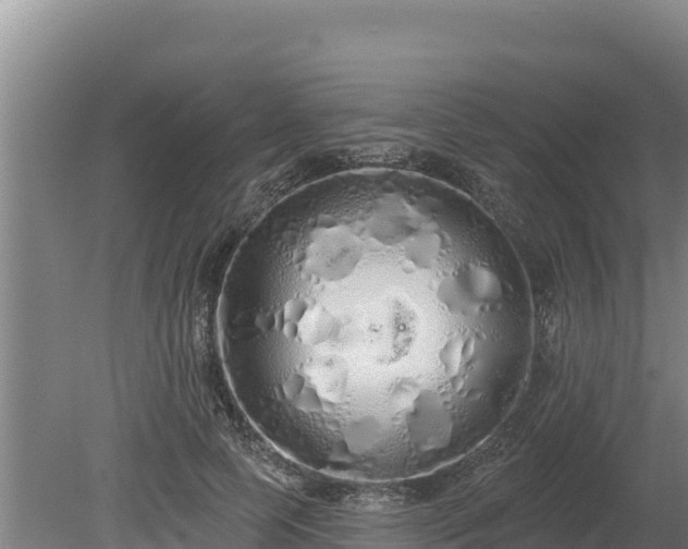 X0000080130745200612151738