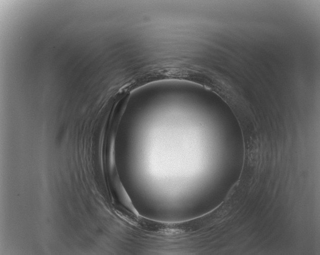 X0000080130748200612151738